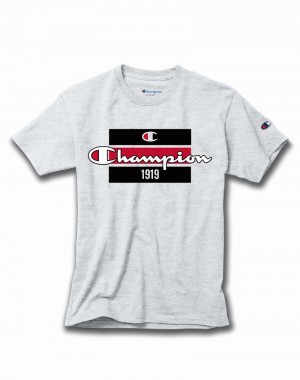 Boys' Champio Cotton T Shirts Grey | O9WH52