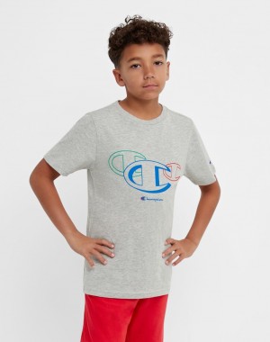 Boys' Champio Cotton T Shirts Grey | V2WK26