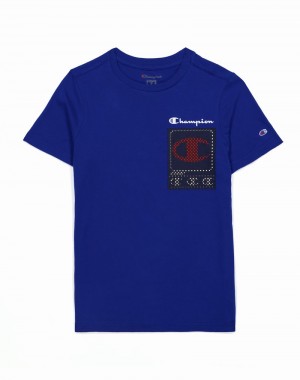 Boys' Champio Short-Sleeve T Shirts Blue | M3LX10