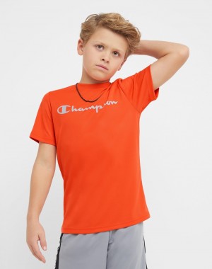 Boys' Champio Short-Sleeve T Shirts Orange | L2YN72