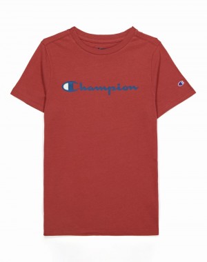 Boys' Champio Short-Sleeve T Shirts Red | I4GA11