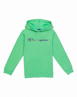 Girls' Champio Powerblend Fleece Hoodie Green | C2VJ20