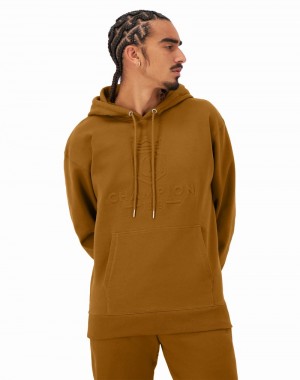 Men's Champio Classic Fleece Hoodie Brown | P7GU50