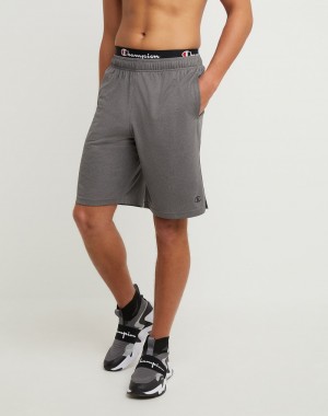 Men's Champio Sport Shorts Grey | Y5RK19