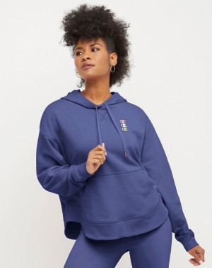 Women's Champio Campus French Terry Hoodie Blue | M2XU97