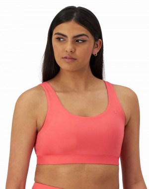 Women's Champio Soft Touch Sports Bra Coral | J9LO25