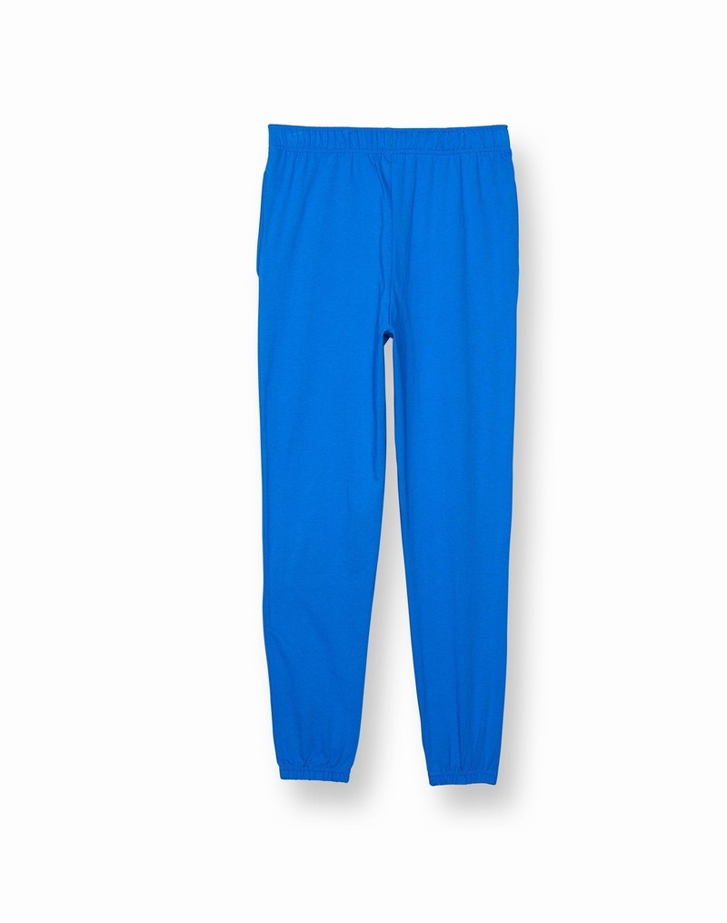 Boys' Champio Cotton Joggers Blue | T0ZG78