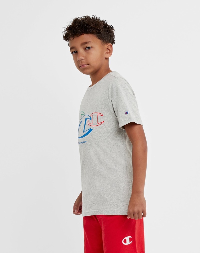 Boys' Champio Cotton T Shirts Grey | V2WK26