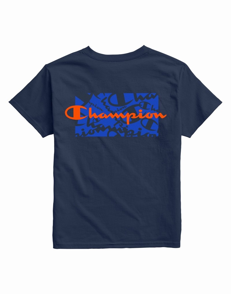 Boys' Champio Cotton T Shirts Navy | A0LP31