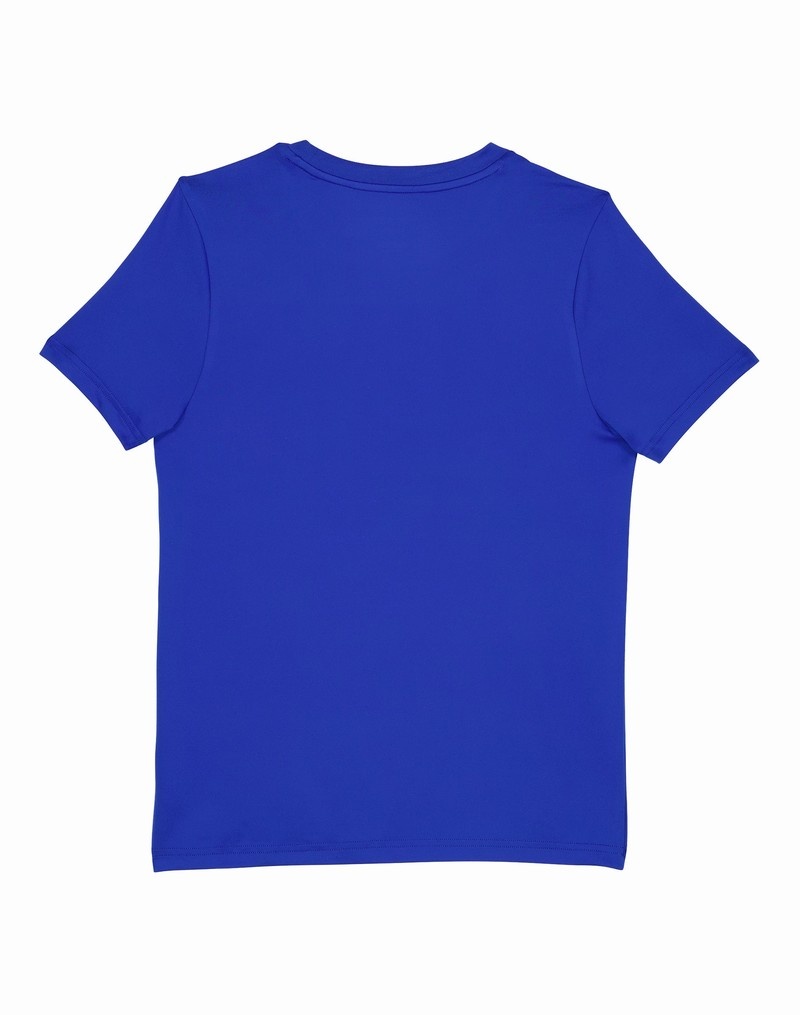 Boys' Champio Crew T Shirts Blue | D5NG40