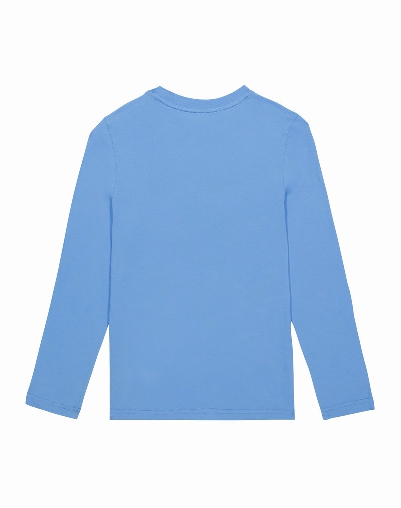 Boys' Champio Long-Sleeve T Shirts Blue | B6UT44