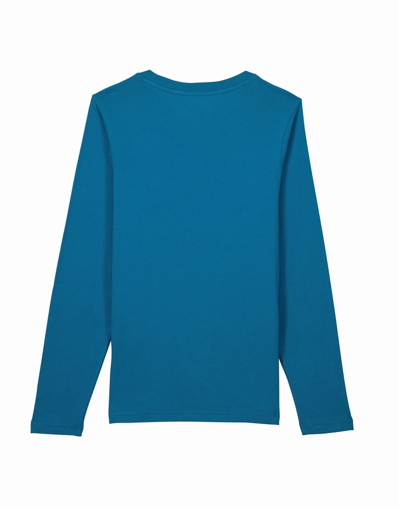 Boys' Champio Long-Sleeve T Shirts Blue | F4UF56