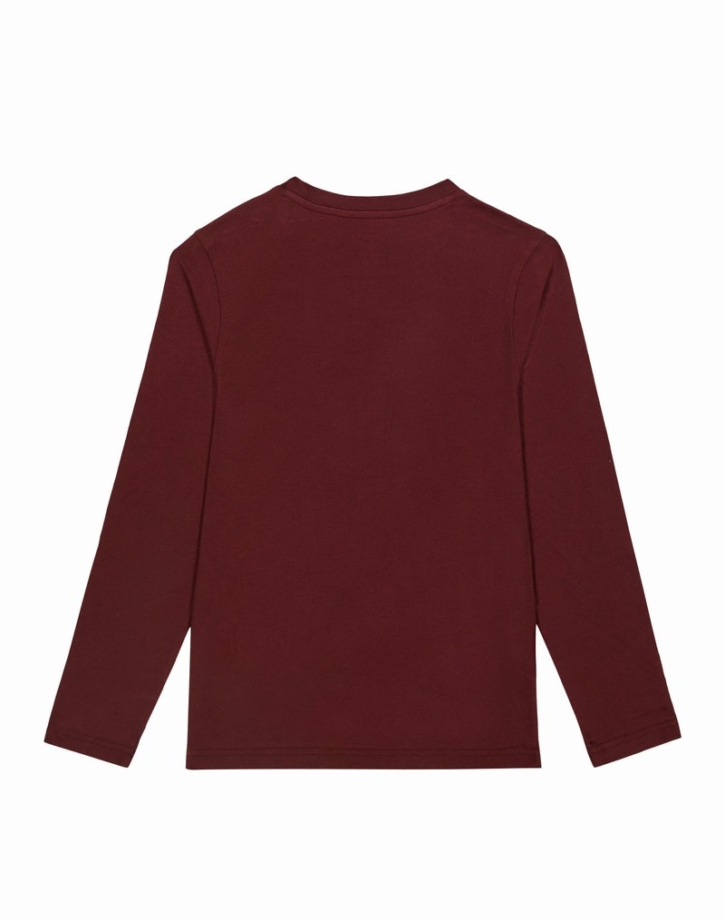 Boys' Champio Long-Sleeve T Shirts Burgundy | Y2OL02