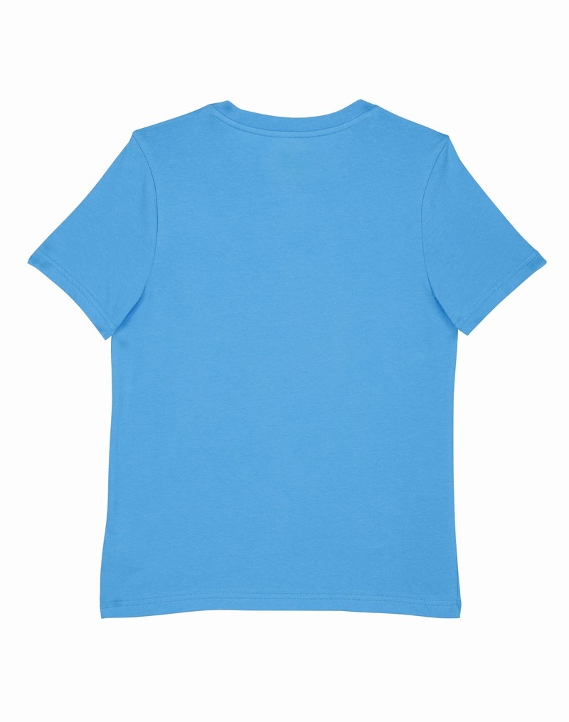 Boys' Champio Short-Sleeve T Shirts Blue | X9SC00