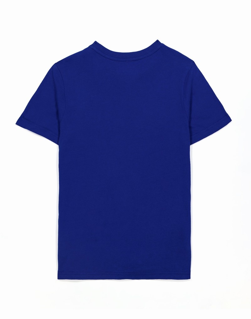 Boys' Champio Short-Sleeve T Shirts Blue | M3LX10