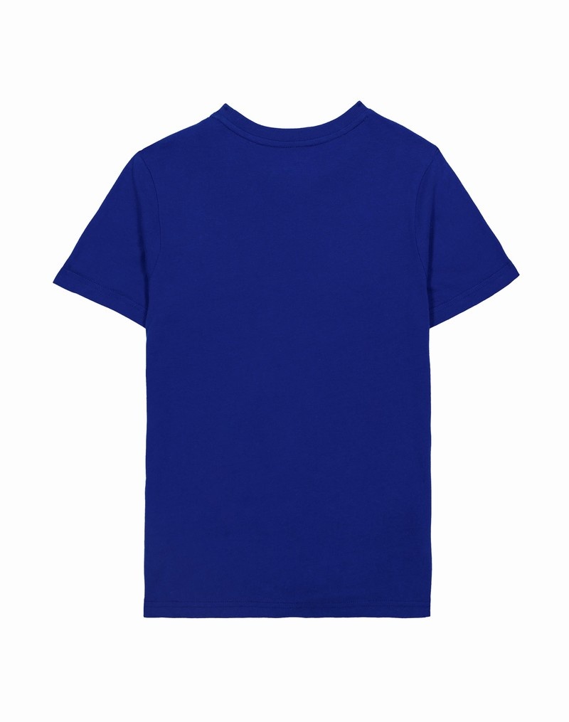 Boys' Champio Short-Sleeve T Shirts Blue | M3LX10