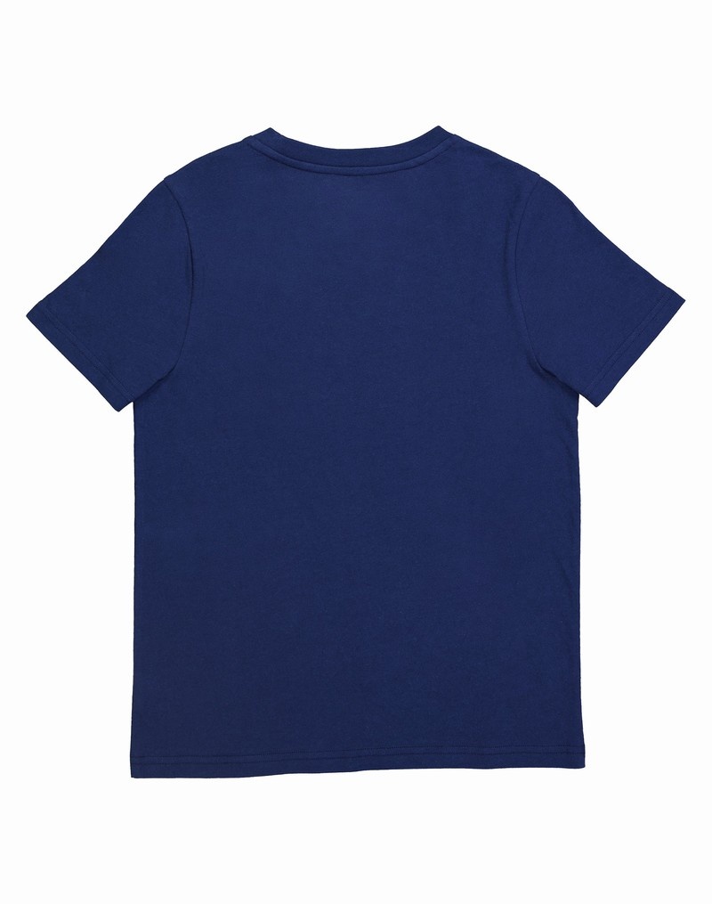 Boys' Champio Short-Sleeve T Shirts Navy | E0PY18