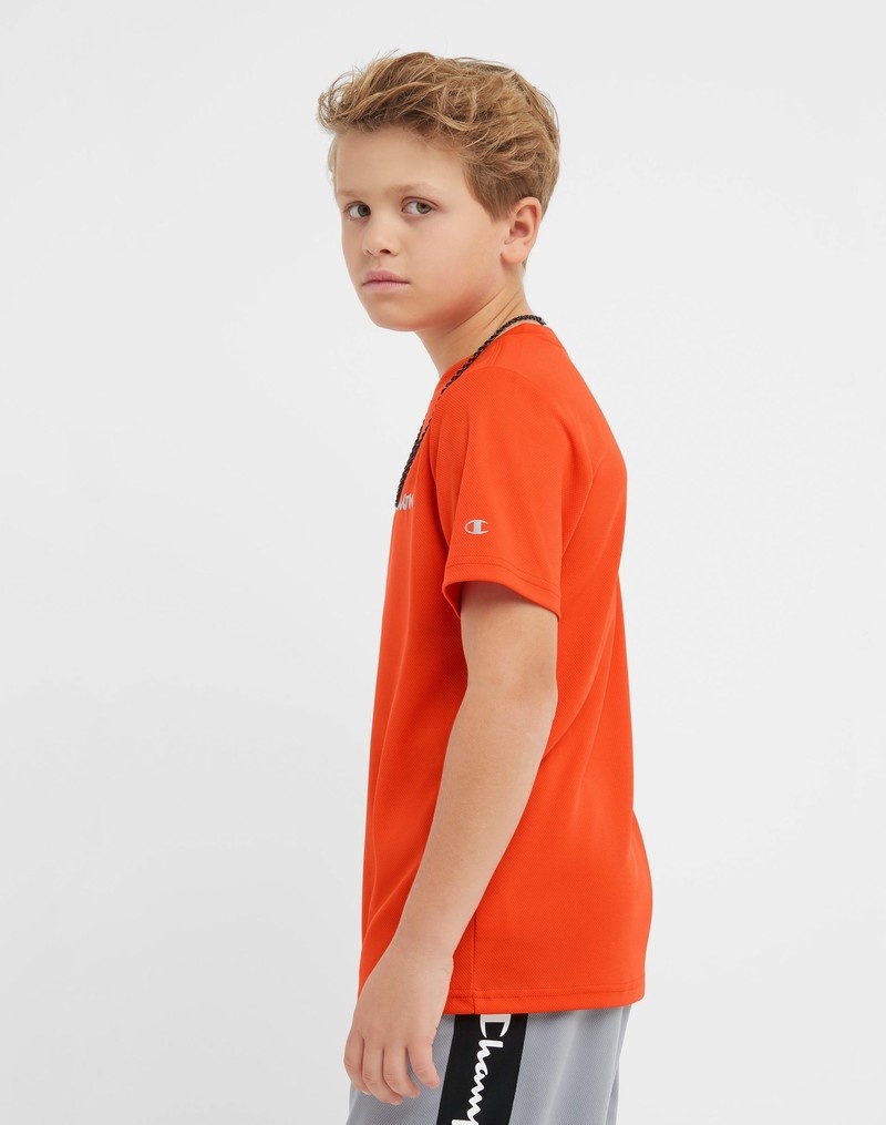 Boys' Champio Short-Sleeve T Shirts Orange | L2YN72