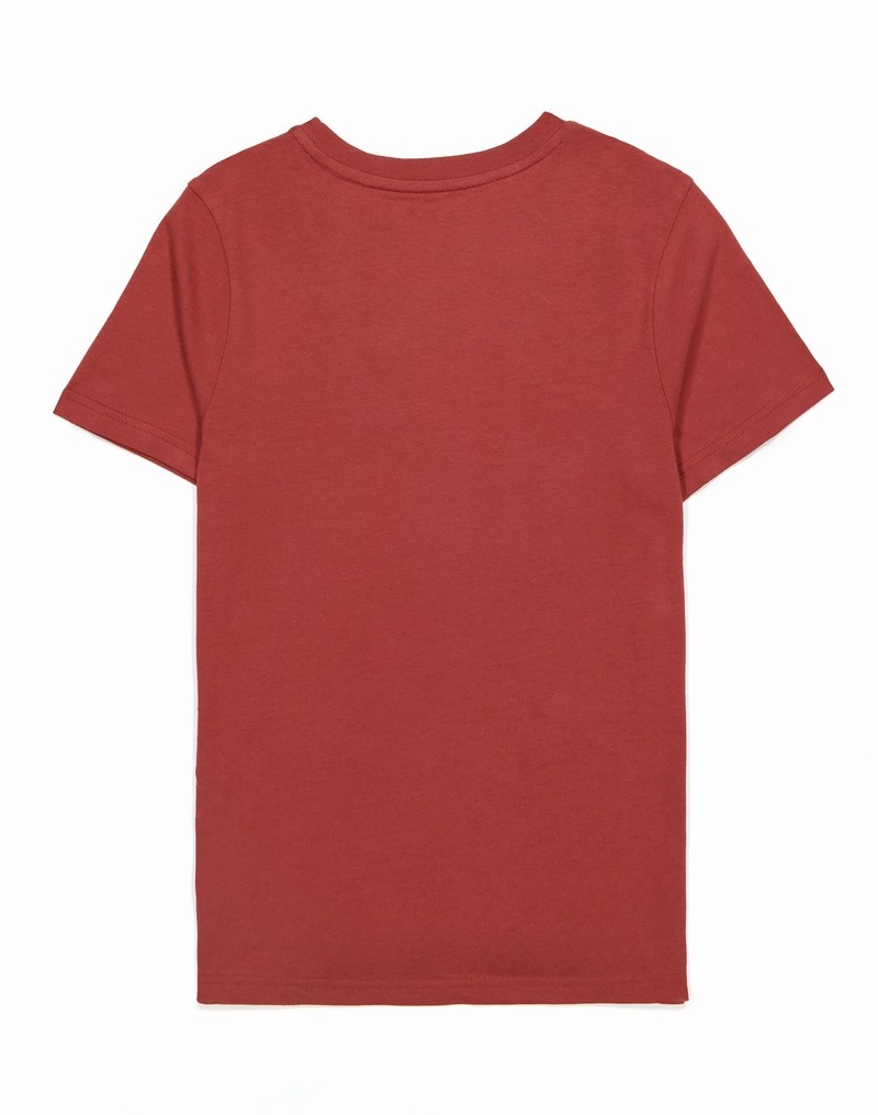 Boys' Champio Short-Sleeve T Shirts Red | I4GA11