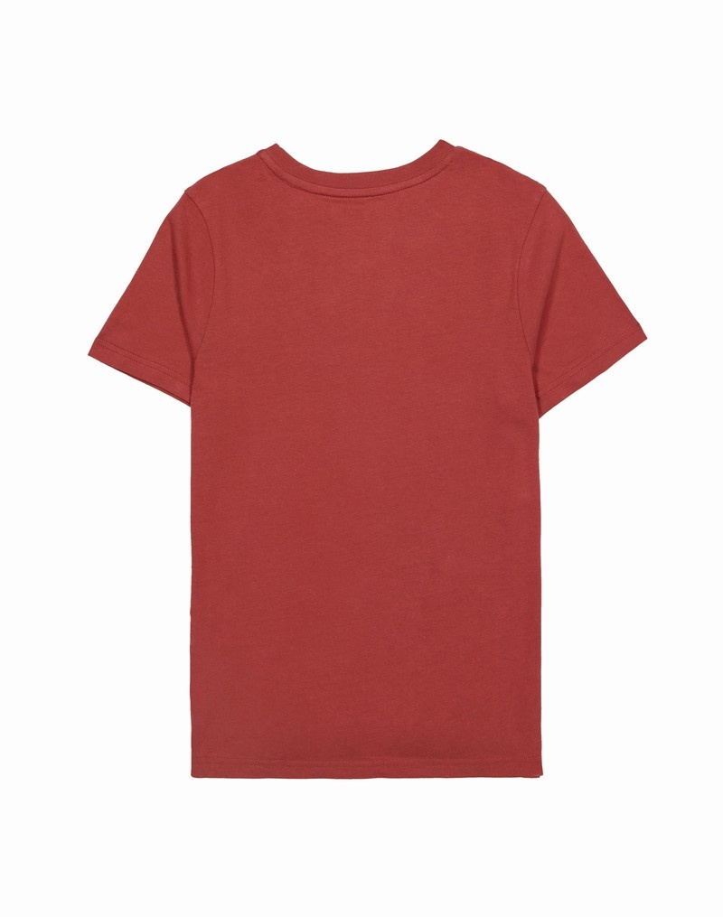 Boys' Champio Short-Sleeve T Shirts Red | I4GA11