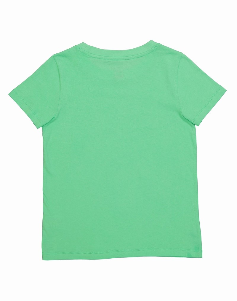 Girls' Champio Crew T Shirts Green | K3ZP96