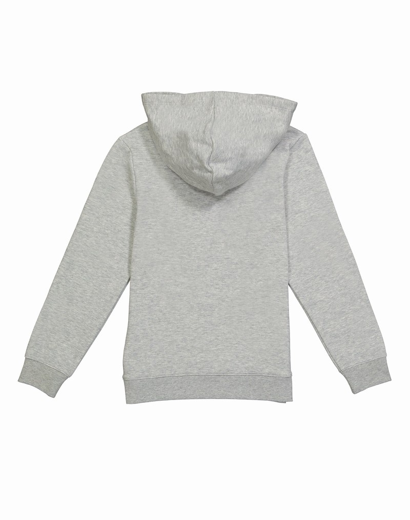 Girls' Champio Powerblend Fleece Hoodie Grey | P2XP01