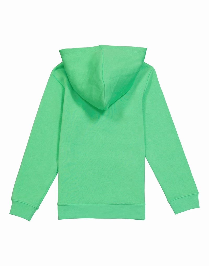 Girls' Champio Powerblend Fleece Hoodie Green | C2VJ20