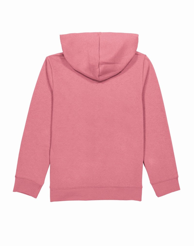 Girls' Champio Powerblend Hoodie Pink | C9CD09