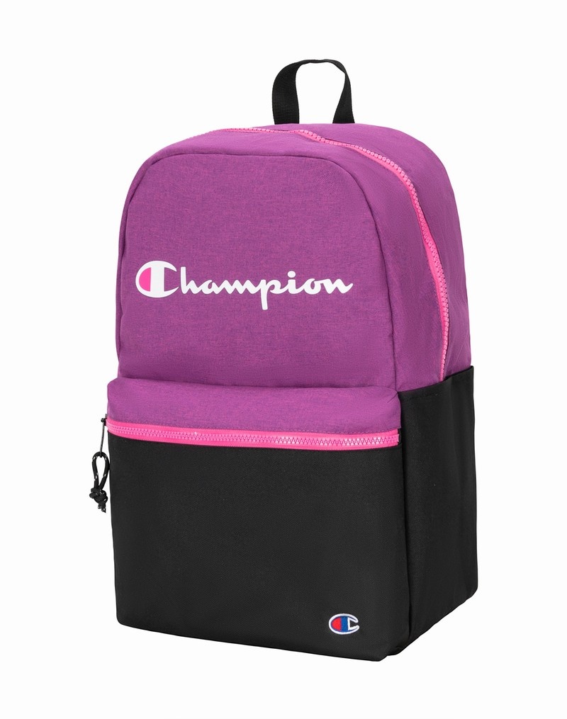 Men's Champio Ascend 2.0 Backpacks Purple | W4VN03