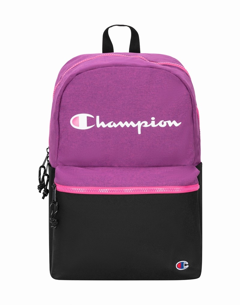 Men\'s Champio Ascend 2.0 Backpacks Purple | W4VN03