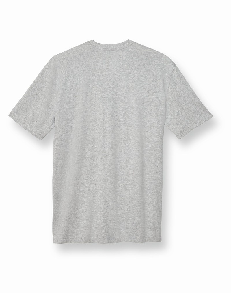 Men's Champio Big & Tall Classic T Shirts Grey | U5JE07