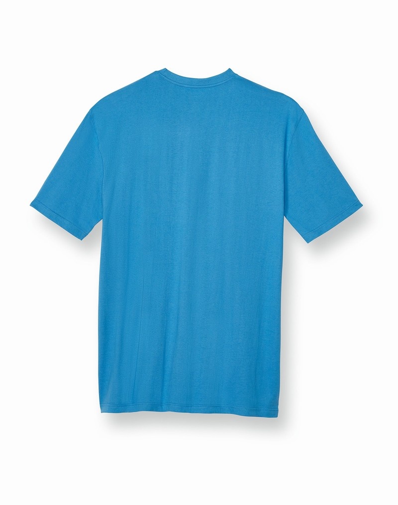 Men's Champio Big & Tall Classic T Shirts Blue | T9AQ01