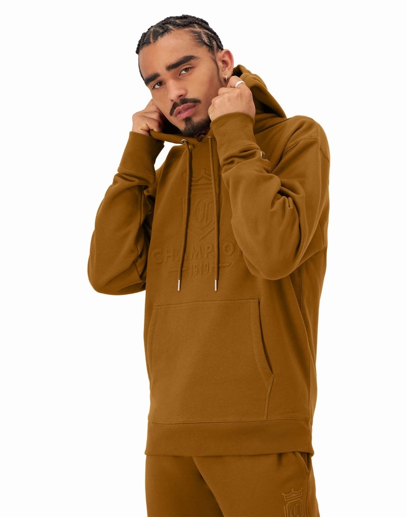 Men's Champio Classic Fleece Hoodie Brown | P7GU50