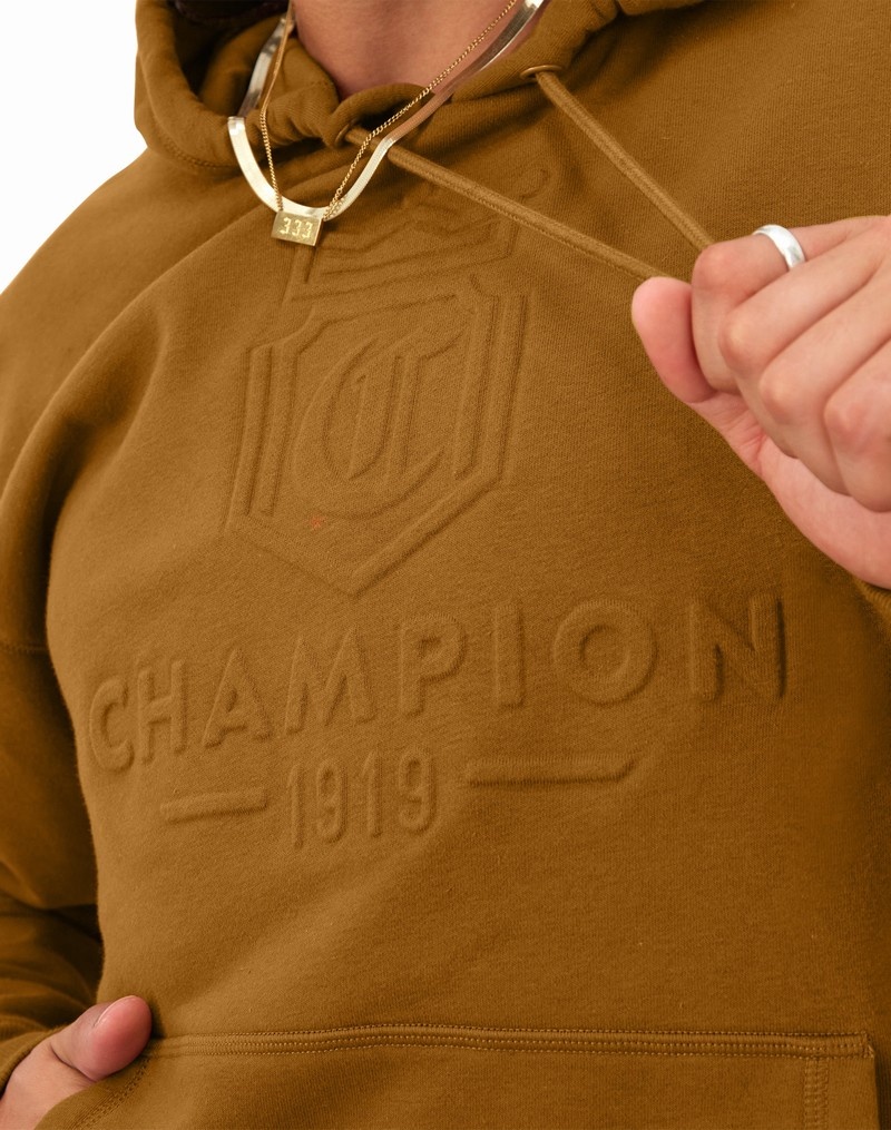 Men's Champio Classic Fleece Hoodie Brown | P7GU50