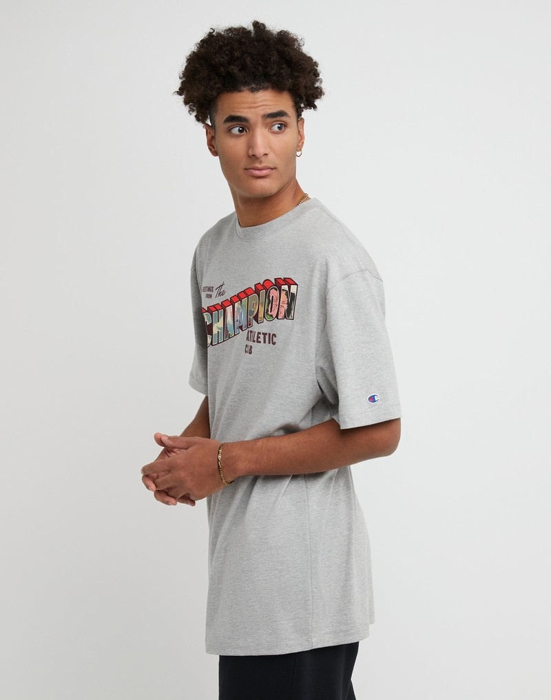 Men's Champio Classic T Shirts Grey | G3DA05