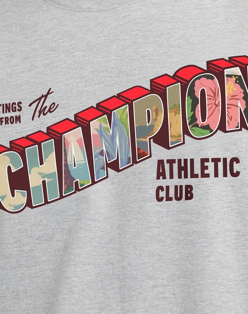 Men's Champio Classic T Shirts Grey | G3DA05