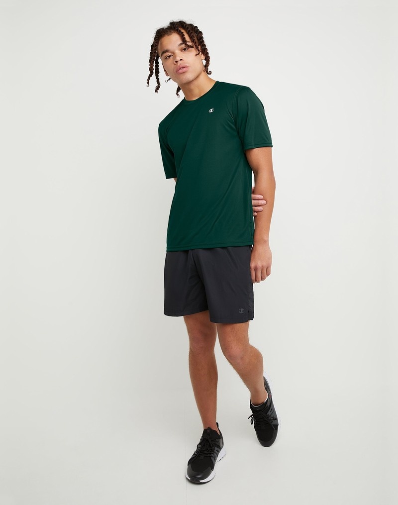 Men's Champio Double Dry® T Shirts Green | L8WB96