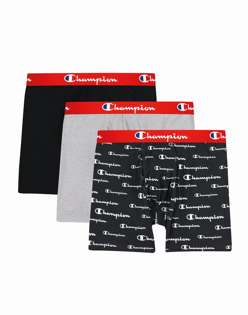 Men's Champio Everyday Comfort Pack Briefs Grey | D0MS91