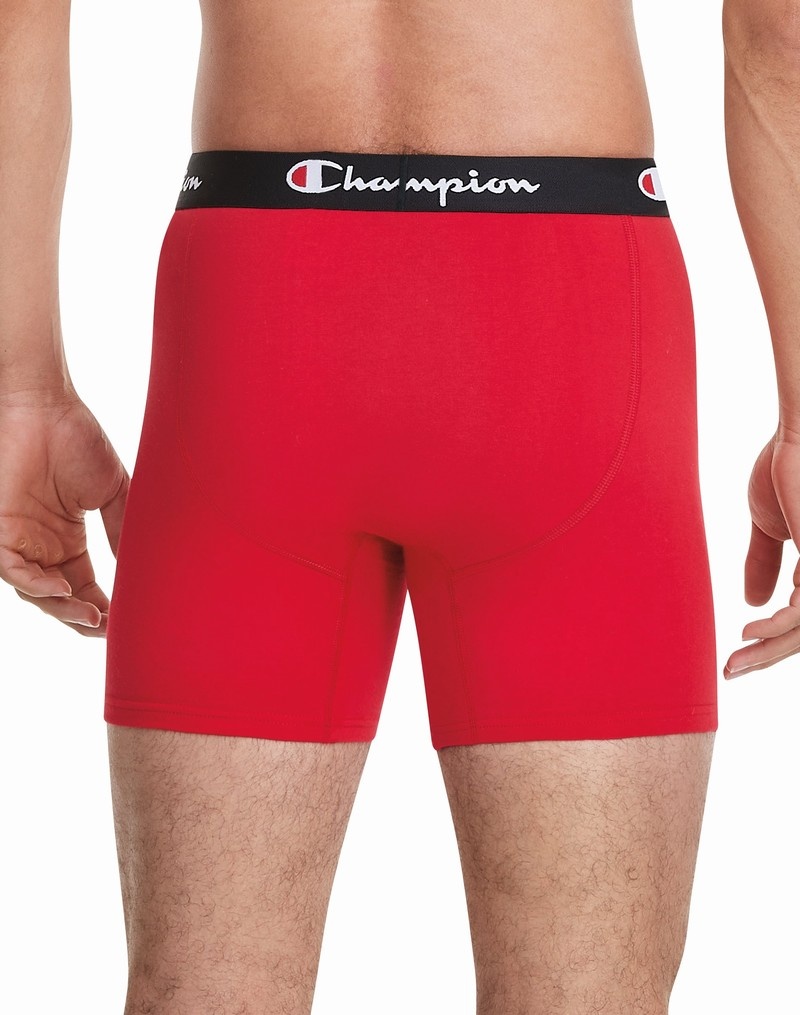 Men's Champio Everyday Comfort Pack Briefs Multicolor | T6IT49