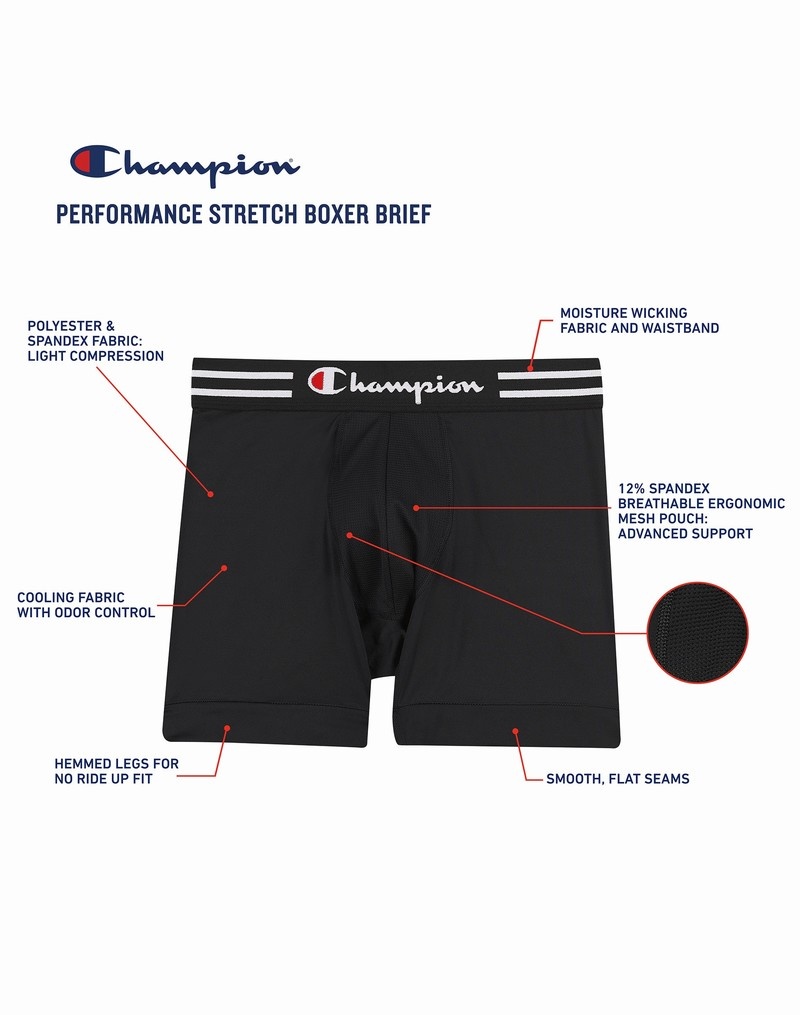 Men's Champio Performance Pack Briefs Black | C7BP55