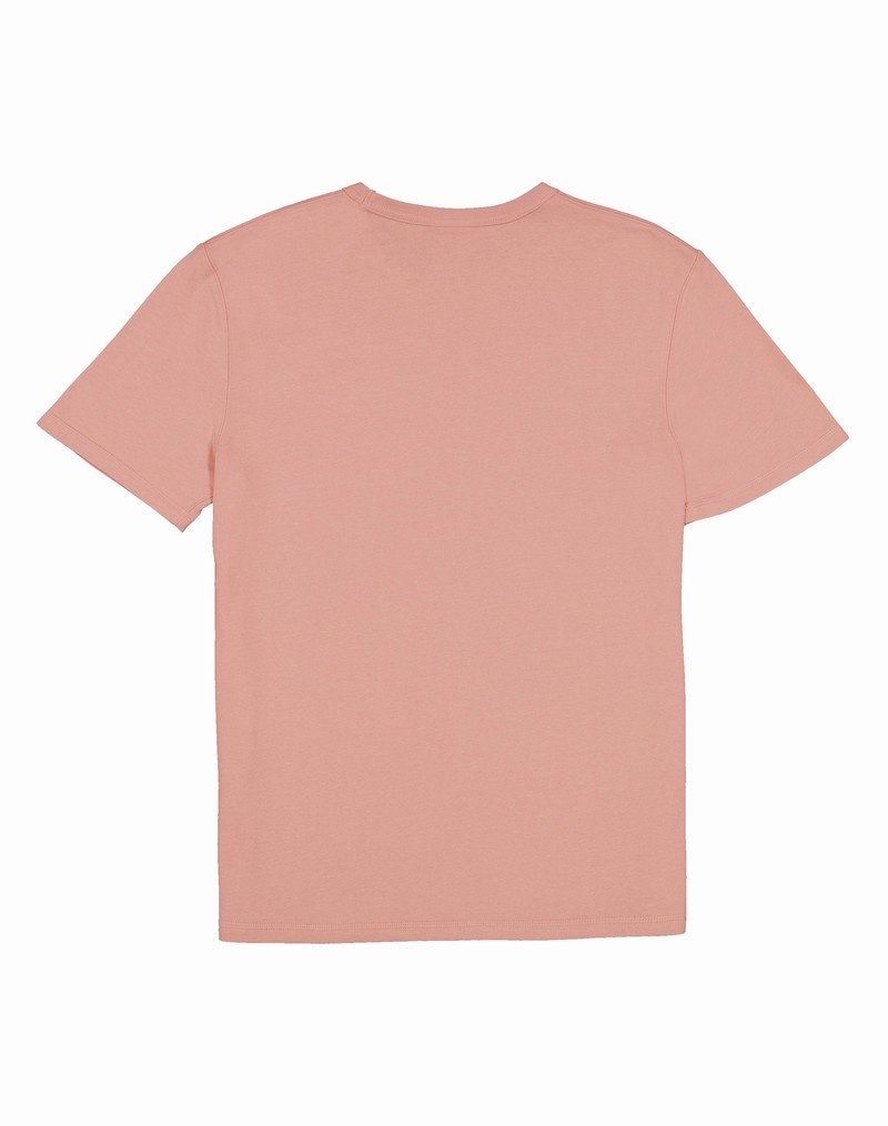 Men's Champio Premium Heavyweight T Shirts Pink | Z6TV85