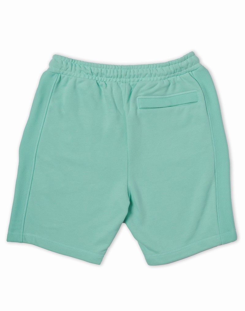 Men's Champio Premium Weave Shorts Green | W0JN55