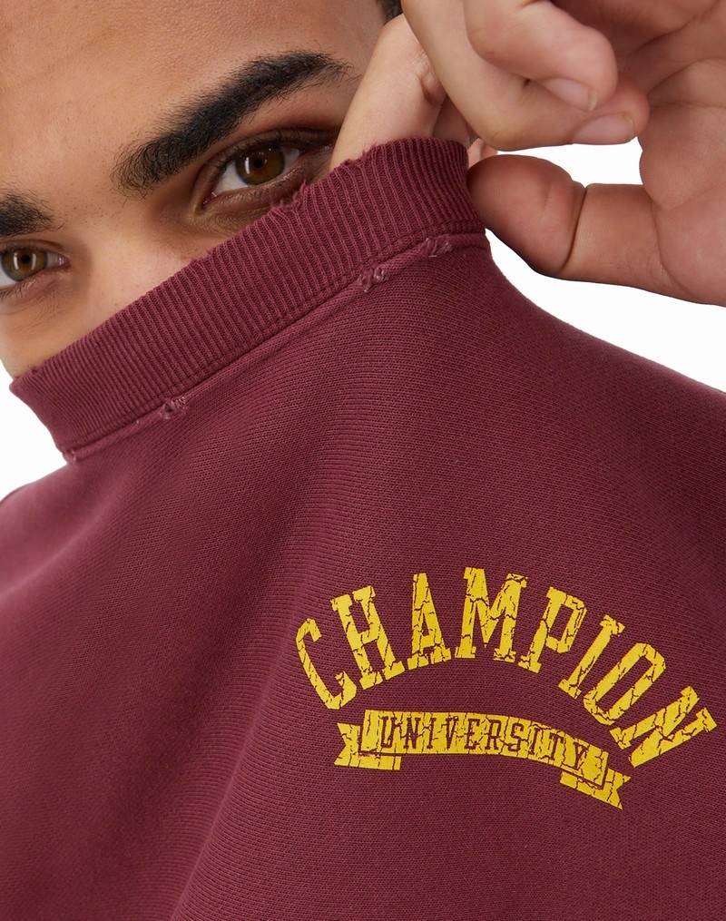 Men's Champio Reverse Weave Crewneck Pullover Burgundy | U6VT54