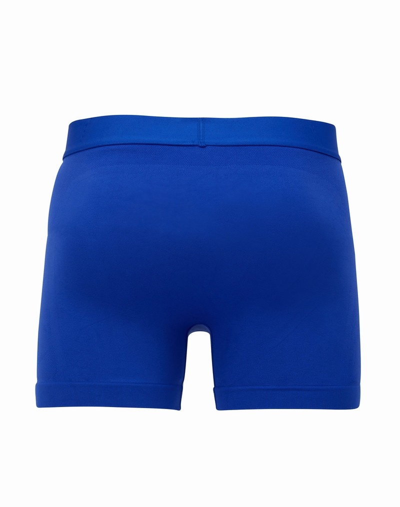 Men's Champio Seamless Briefs Blue | F8DS81