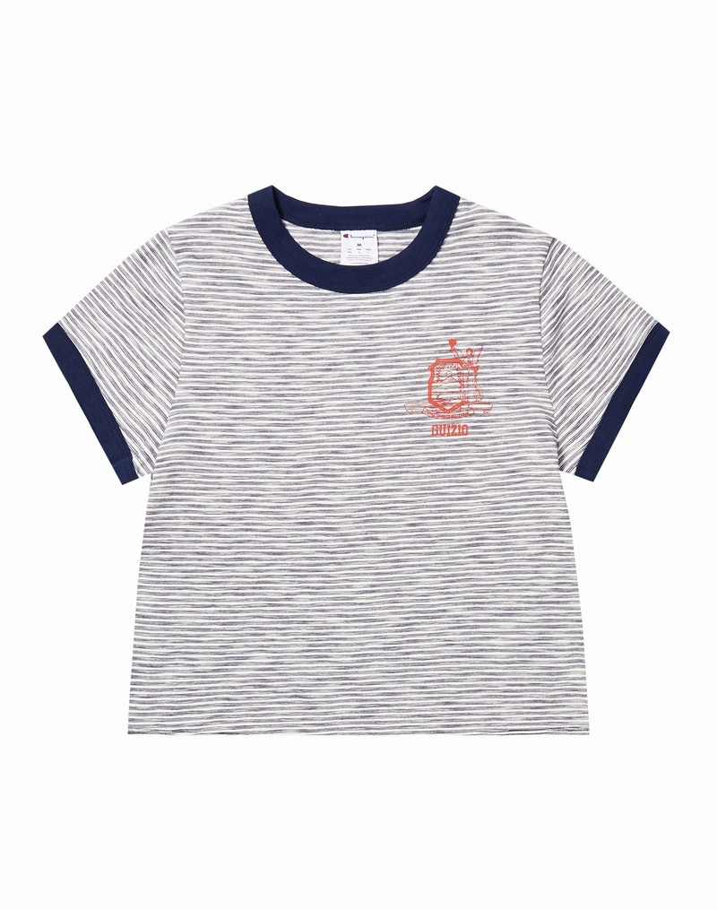 Women's Champio Champion x Guizio Classic Striped T Shirts Grey | Z7QL70