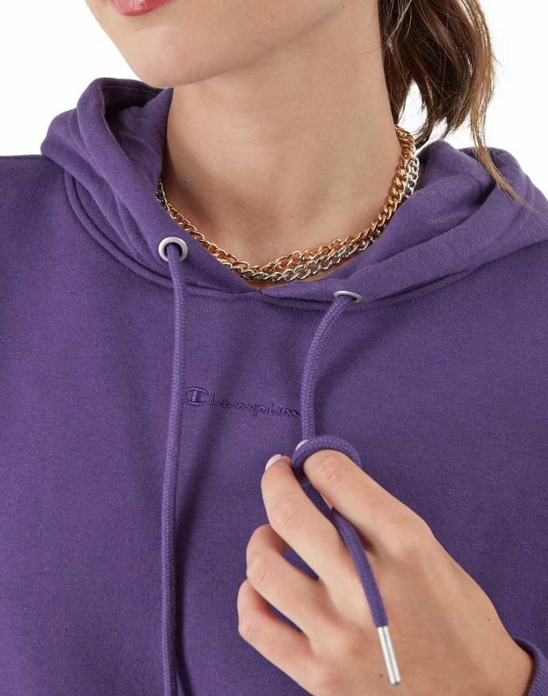 Women's Champio Classic Fleece Oversized Hoodie Purple | B0ZN15