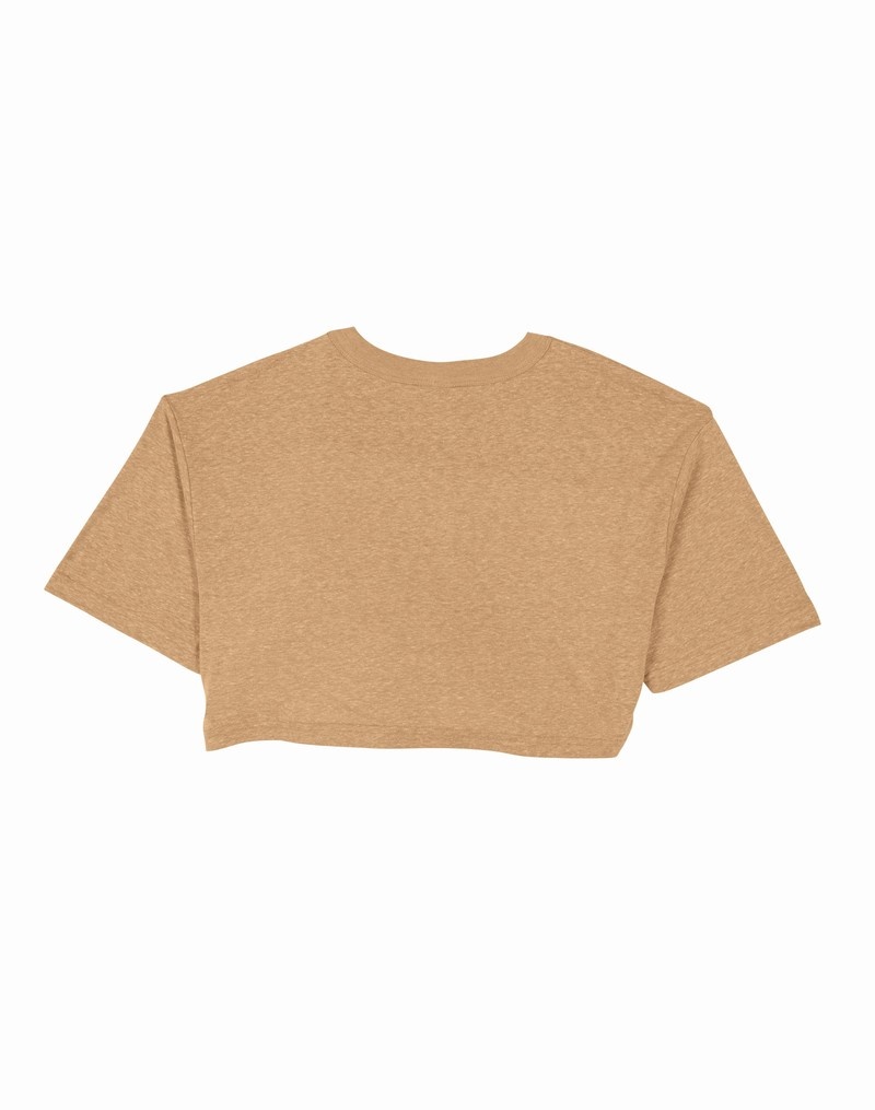 Women's Champio Cropped Cropped Tops Brown | Q3FJ54