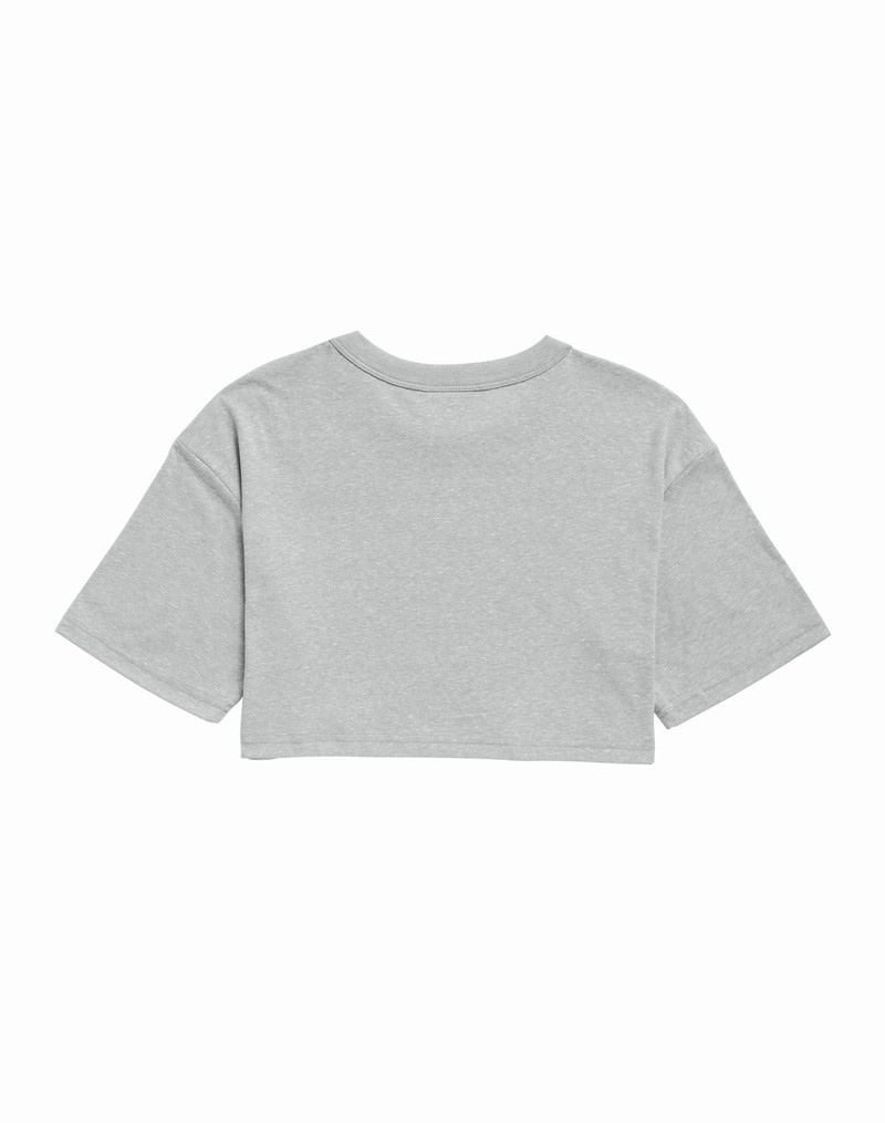 Women's Champio Cropped T Shirts Grey | J3IQ54