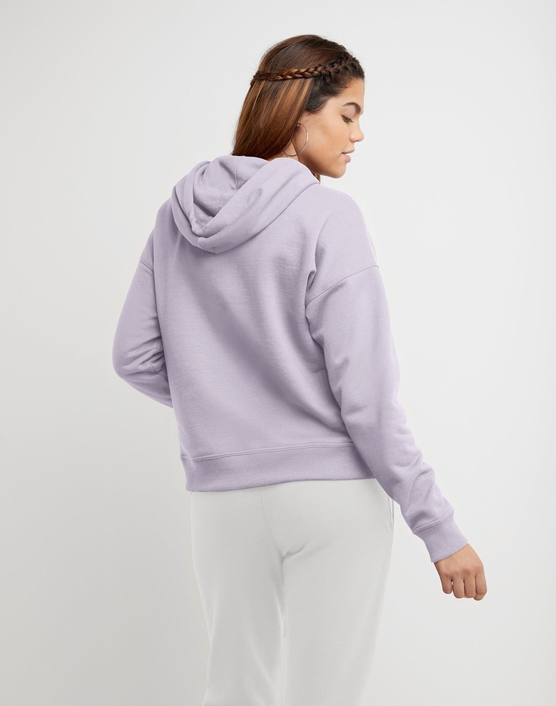 Women's Champio Powerblend Fleece Hoodie Purple | J5HN61