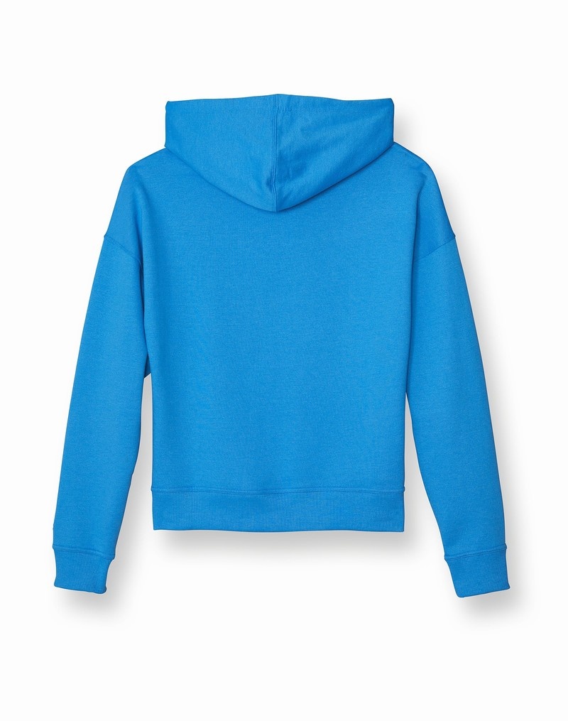 Women's Champio Powerblend Hoodie Blue | G9DB81